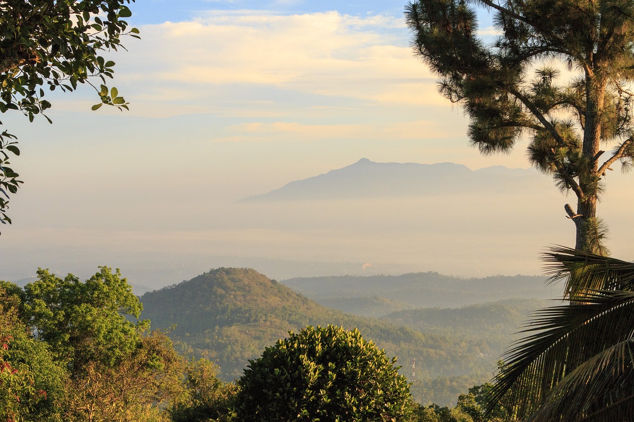 How to Be an Environmentally Friendly Tourist in Sri Lanka